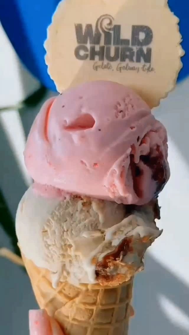 Artisan gelato display case